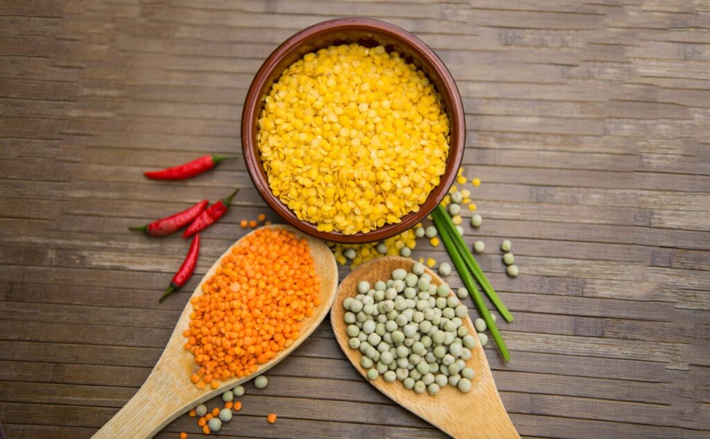 A lentilha é da família das leguminosas e muita usada no sistema de nutrição da medicina Ayurveda.