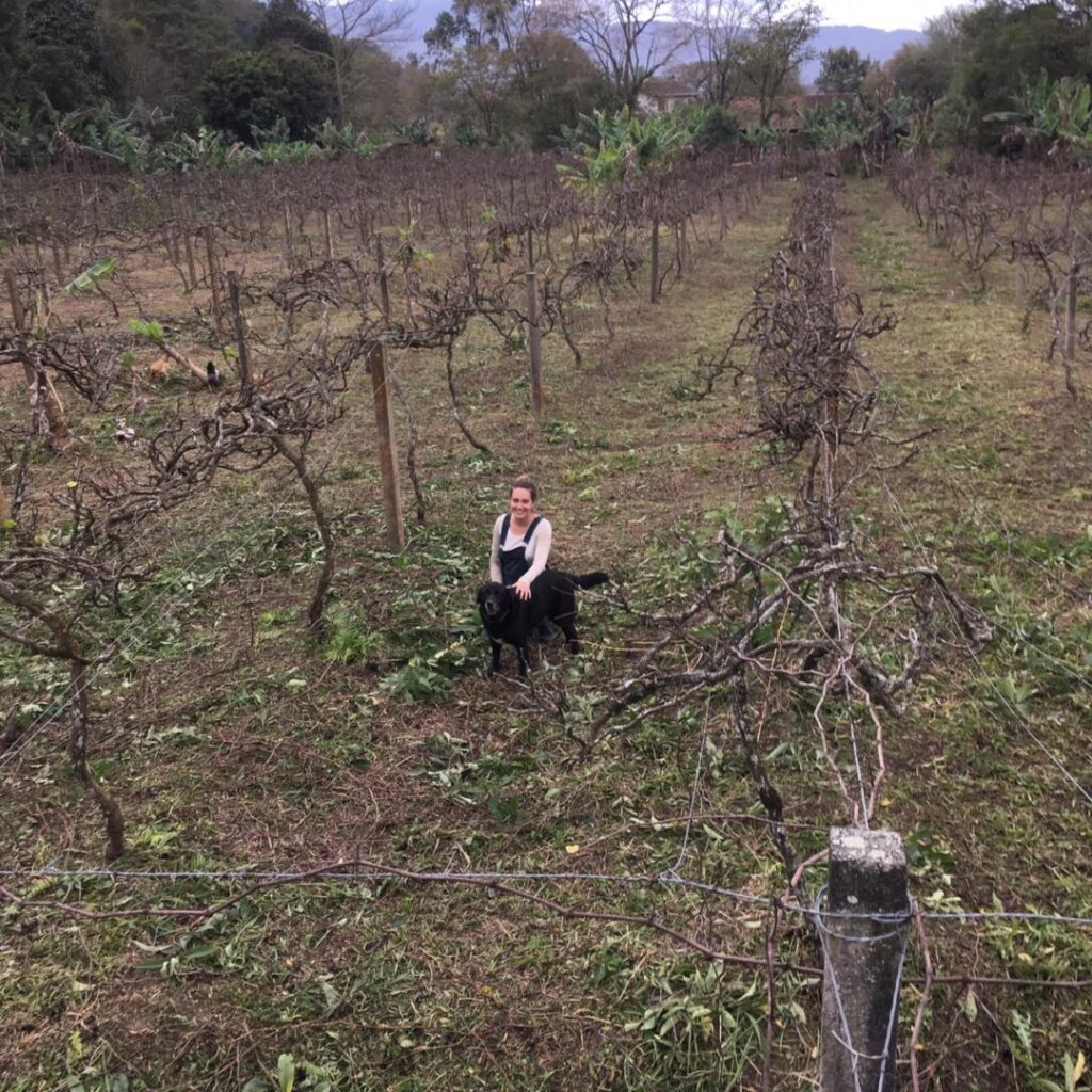 Stephanie Stein em meio aos parreirais do Sítio Paraíso, fundado por seus avós e que cultiva produtos com certificação orgânica em Porto Belo (SC)