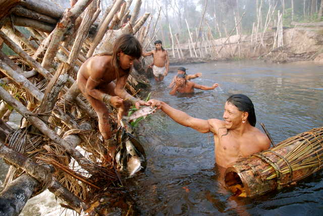 Índios têm como cultura buscar seus alimentos na floresta, e a pescaria é uma atividade típicas das tribos indígenas brasileiras.