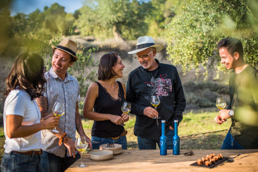 O que é o azeite de oliva? "Harvest Party" ajuda o consumidor a entender mais sobre a iguaria.