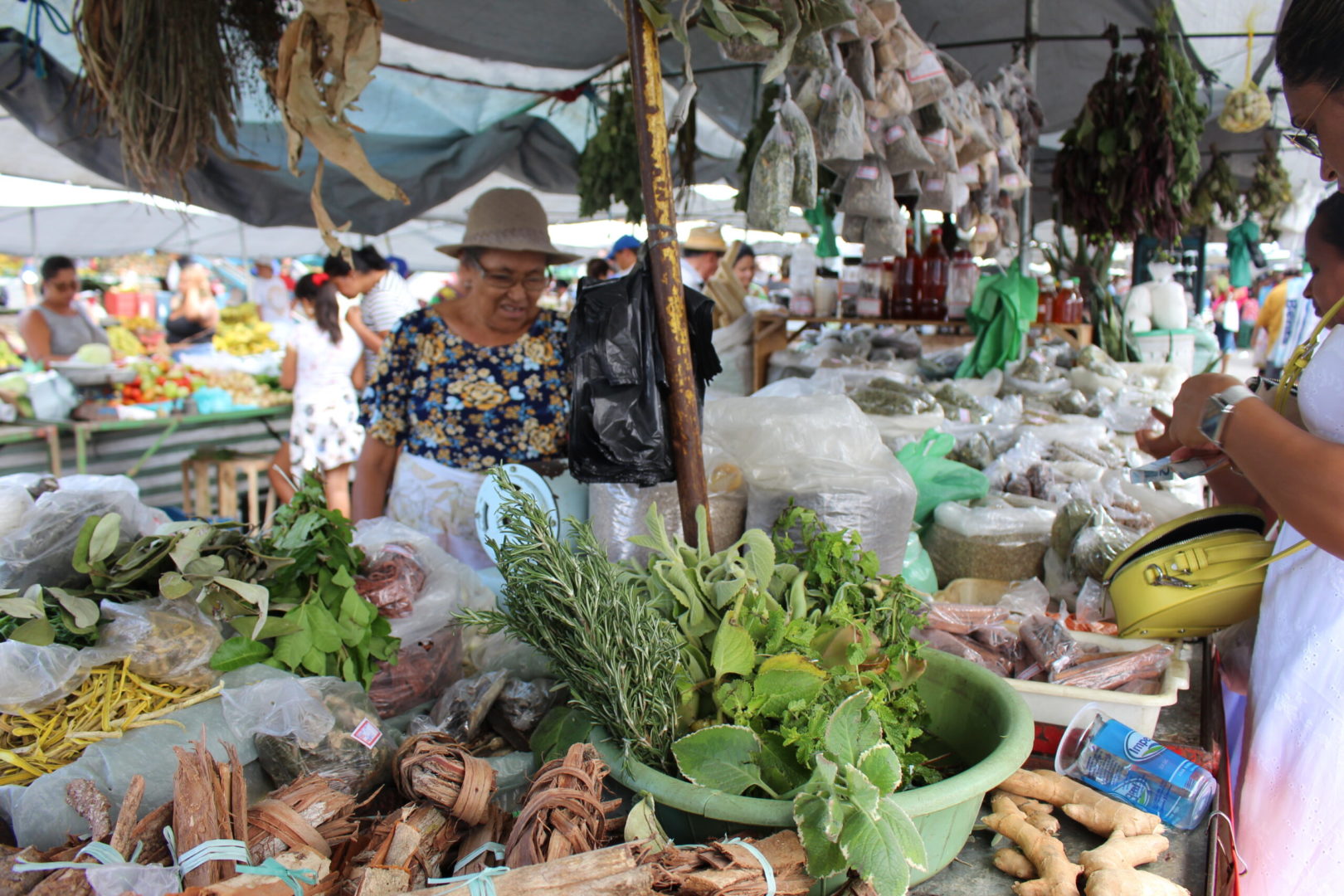 Foto da uma banca da feira de Itabaiana, com uma senhora ao fundo, olhando os legumes e verduras.