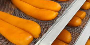 A Bottarga e feita a partir das ovas das tainhas