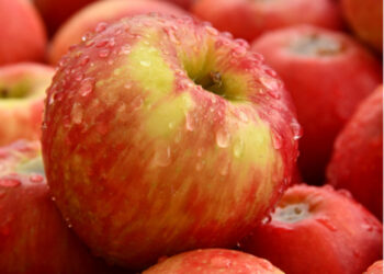 Os sabores e benefícios da maçã oriental