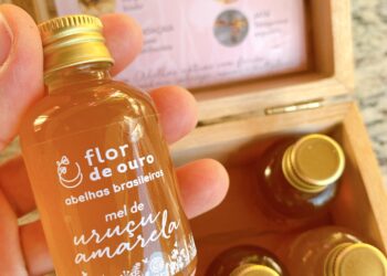 meis de abelhas nativas sem ferrao