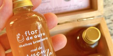 meis de abelhas nativas sem ferrao