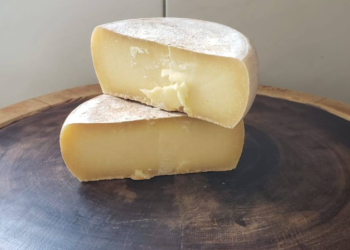 o queijo artesanal serrano tem 300 anos de historia