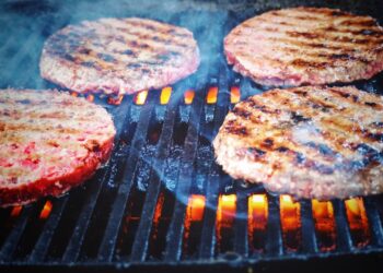 Carne de hamburguer ultraprocessada pode conter residuos de agrotoxicos