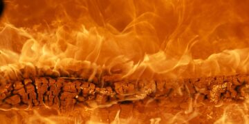 O papel do fogo na evolução humana