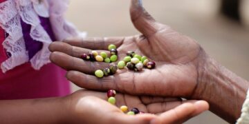 Cozinha: resistência quilombola