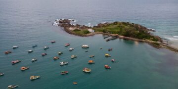 Noboru Oda: uma história de amor ao sul da ilha