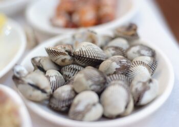 Histórias de vida no berço do berbigão