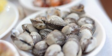 Histórias de vida no berço do berbigão