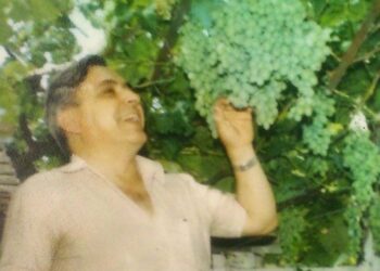 O vinho e as histórias de família