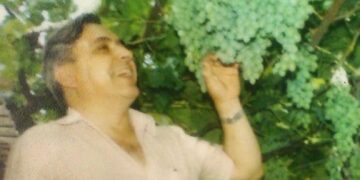 O vinho e as histórias de família