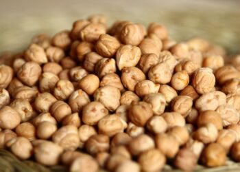 O impacto das proteínas vegetais na saúde do coração