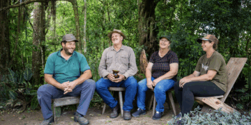 A erva da luz e da sombra