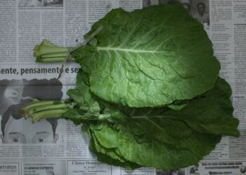 Artistas revelam como a pobreza afeta a alimentação no Brasil e no mundo