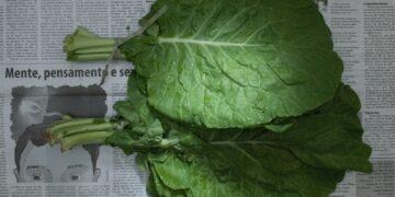 Artistas revelam como a pobreza afeta a alimentação no Brasil e no mundo