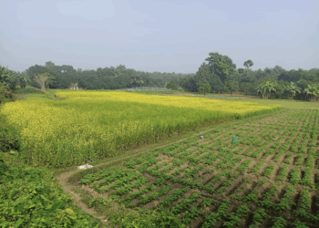 A história da agroecologia