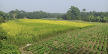 A história da agroecologia