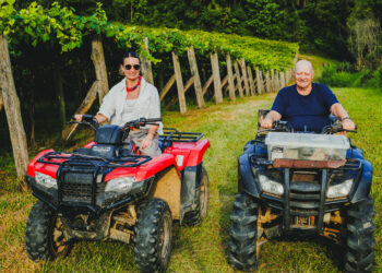 Entre a serra e o mar, uma uva
