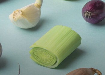 Master em New Food Thinking