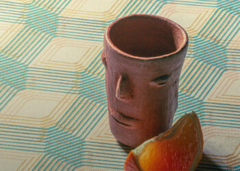 Master em World Food Studies